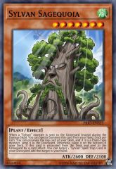 Sylvan Sagequoia
