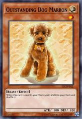 Outstanding Dog Marron