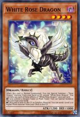 White Rose Dragon