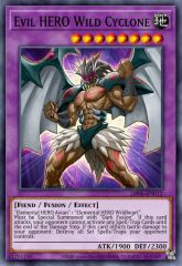 Evil HERO Wild Cyclone