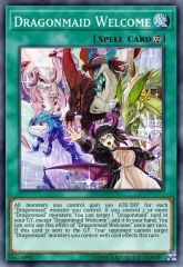 Dragonmaid Welcome