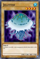 Jellyfish