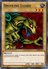 Drooling Lizard