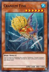 Cranium Fish