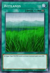 Wetlands