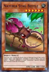 Naturia Stag Beetle