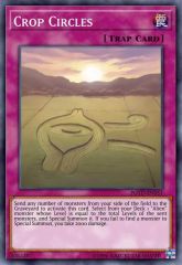 Crop Circles