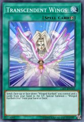 Transcendent Wings