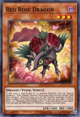 Red Rose Dragon