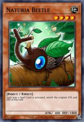 Naturia Beetle