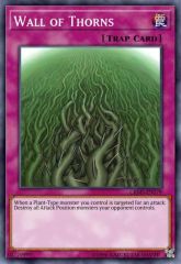 Wall of Thorns