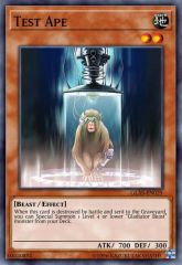 Test Ape