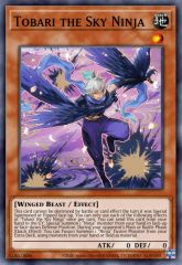 Tobari the Sky Ninja