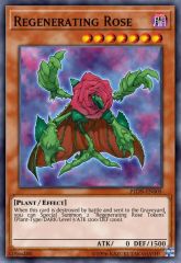 Regenerating Rose