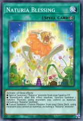 Naturia Blessing