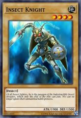 Insect Knight