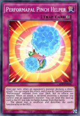 Performapal Pinch Helper