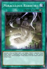 Miraculous Rebirth