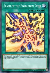 Flash of the Forbidden Spell
