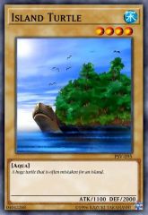 Island Turtle