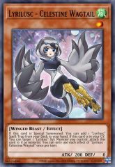 Lyrilusc - Celestine Wagtail