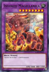 Invoked Magellanica