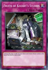 Fruits of Kozaky's Studies