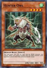 Hunter Owl