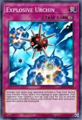 Explosive Urchin
