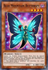 Blue Mountain Butterspy