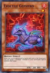 Evoltile Gephyro