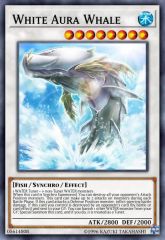 White Aura Whale
