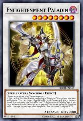 Enlightenment Paladin