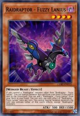 Raidraptor - Fuzzy Lanius