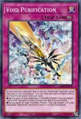 Void Purification
