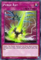 Purge Ray
