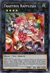 Traptrix Rafflesia