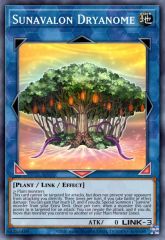 Sunavalon Dryanome