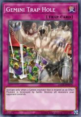 Gemini Trap Hole
