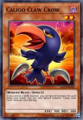 Caligo Claw Crow