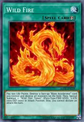 Wild Fire