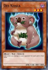 Des Koala
