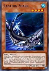 Lantern Shark