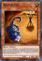 Watch Cat