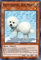 Outstanding Dog Mary