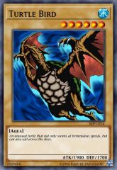Turtle Bird