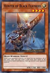 Hunter of Black Feathers