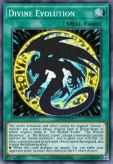 Divine Evolution