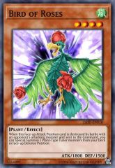 Bird of Roses
