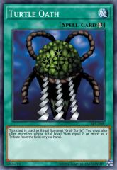 Turtle Oath